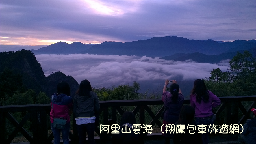 阿里山包車丨雲海