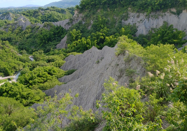 田寮月世界